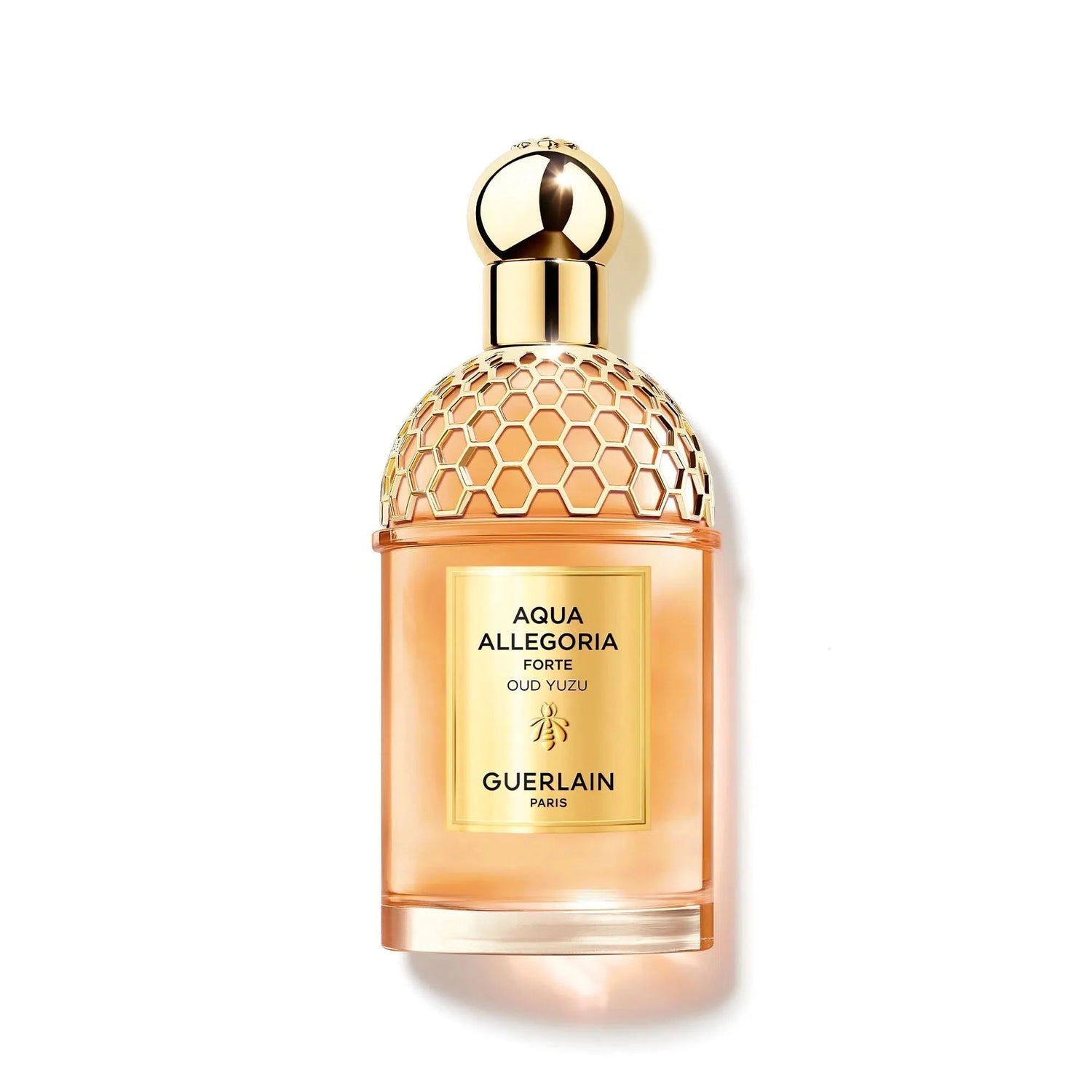 Guerlain Aqua Allegoria Forte Oud Yuzu EDP (U) / 125 ml