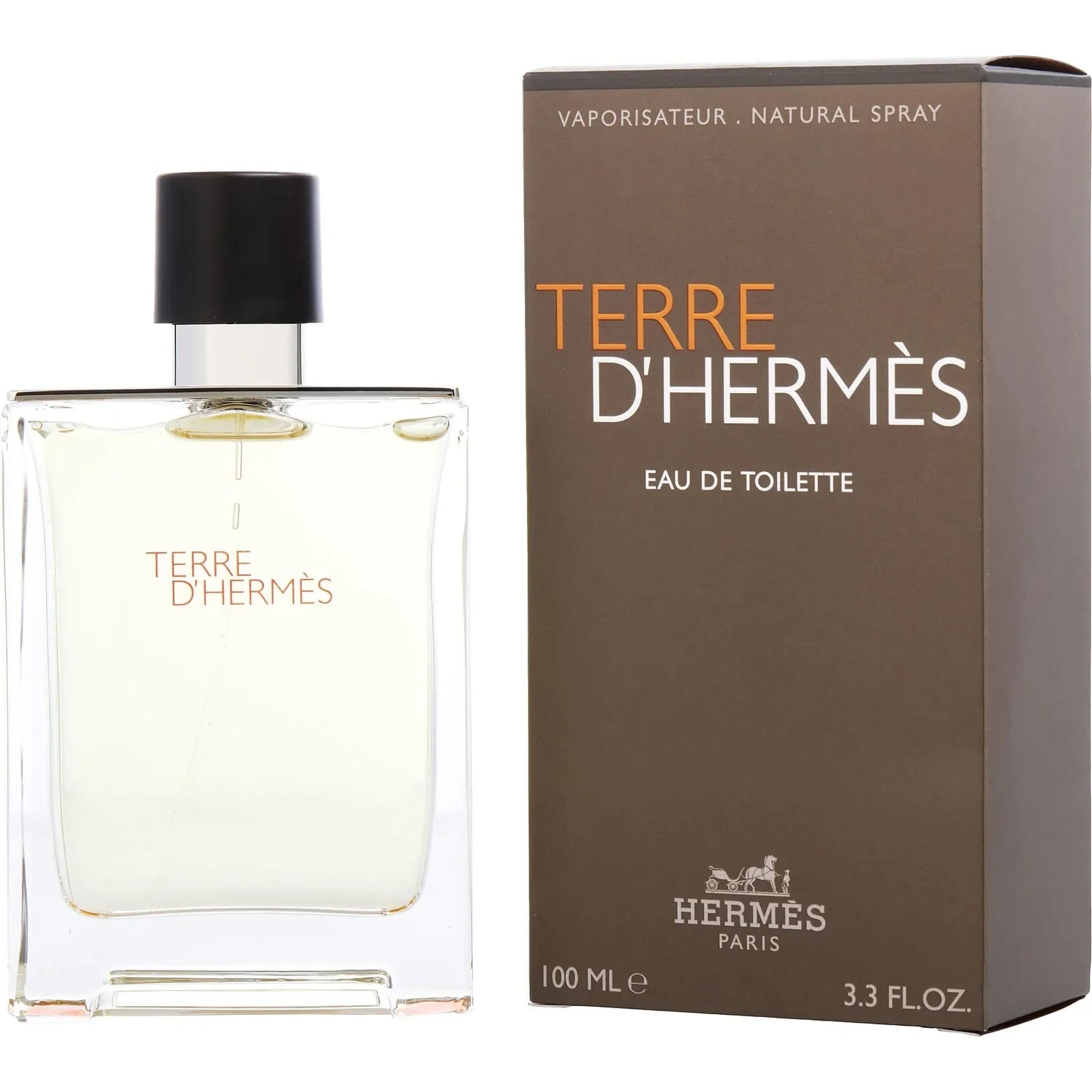 Hermès Terre d'Hermès EDT (M) / 100 ml